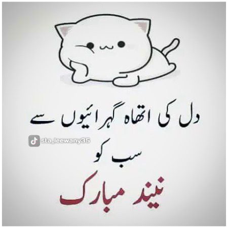 Neend Mubarak✌🙈🙉