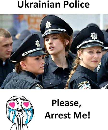 Memes & Satire image