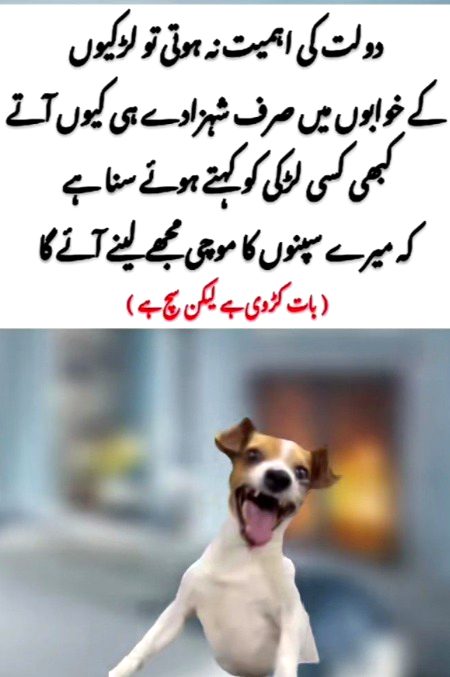 Memes & Satire image