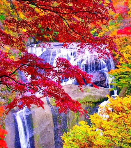 Beautiful Nature image