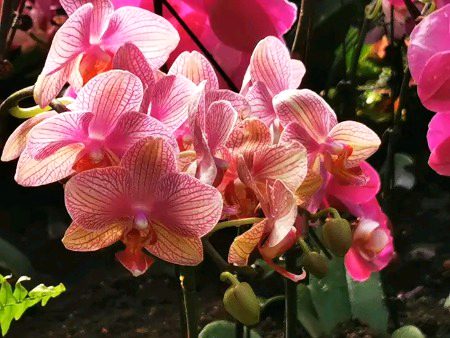 Beautiful Nature image