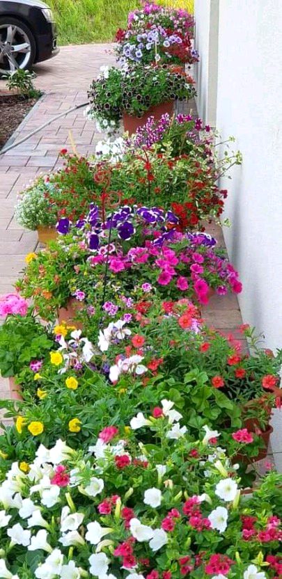 Beautiful Nature image