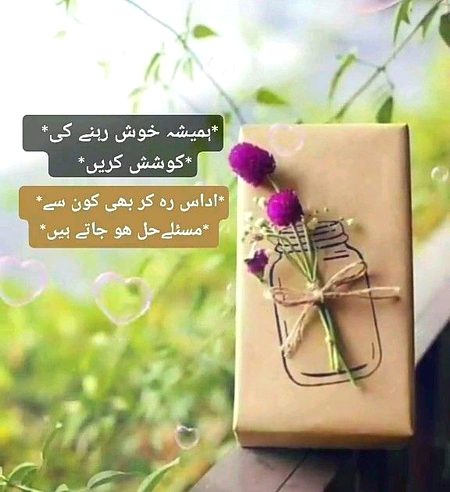 Very nice 🤲🏽🦋