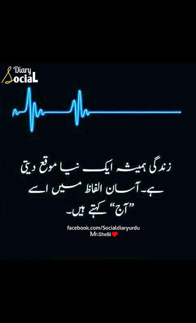 🍁Zoq_Shab🍁