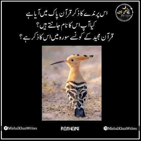 Interesting Posts image