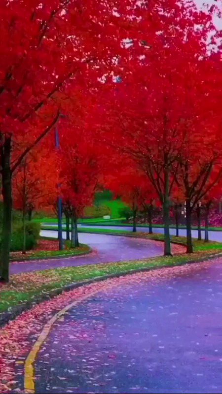 Beautiful Nature image