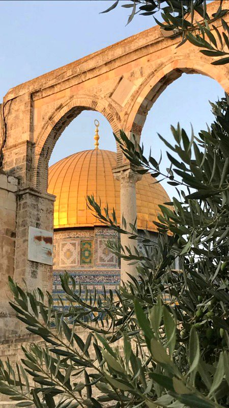 Beautiful Structures image