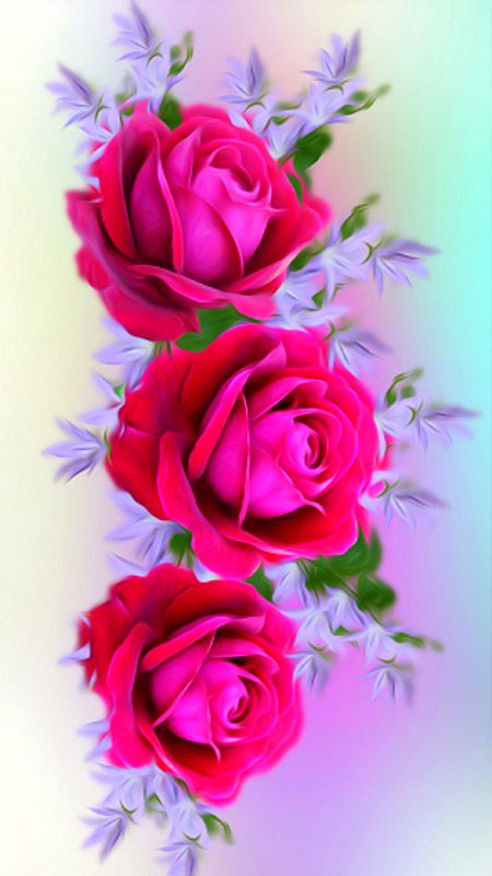 Beautiful Nature image