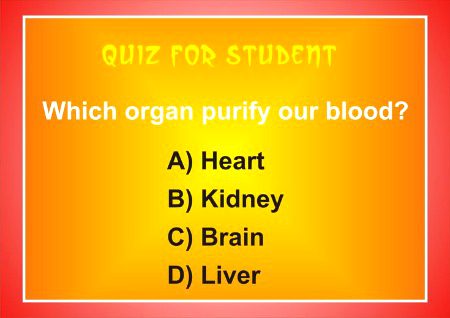 Knowledge Test image