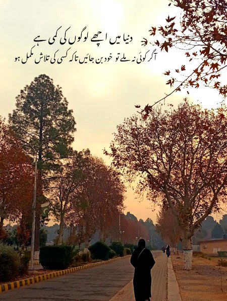 Motivational Quotes image