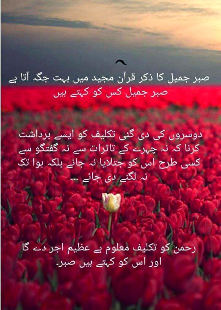 Islamic Quotes image