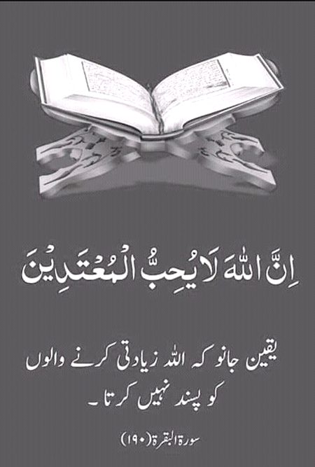 Islamic Quotes image