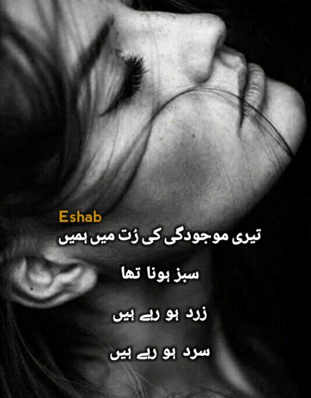 Sad Poetry image