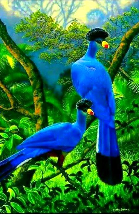 BEAUTIFUL NATURE