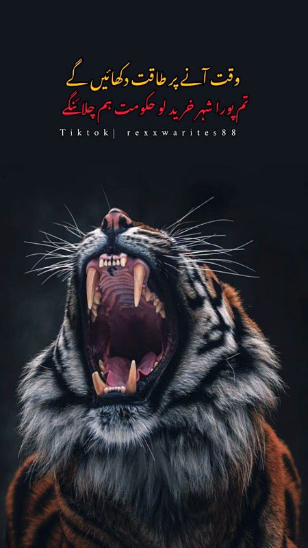 Attitude Quotes image