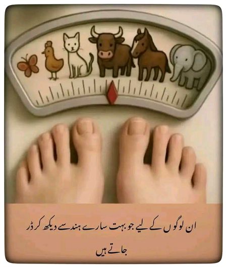 Memes & Satire image