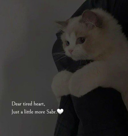 Beshak sabar or Shukhar Krna chayi