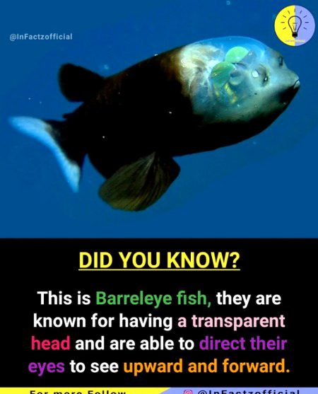 Interesting Posts image