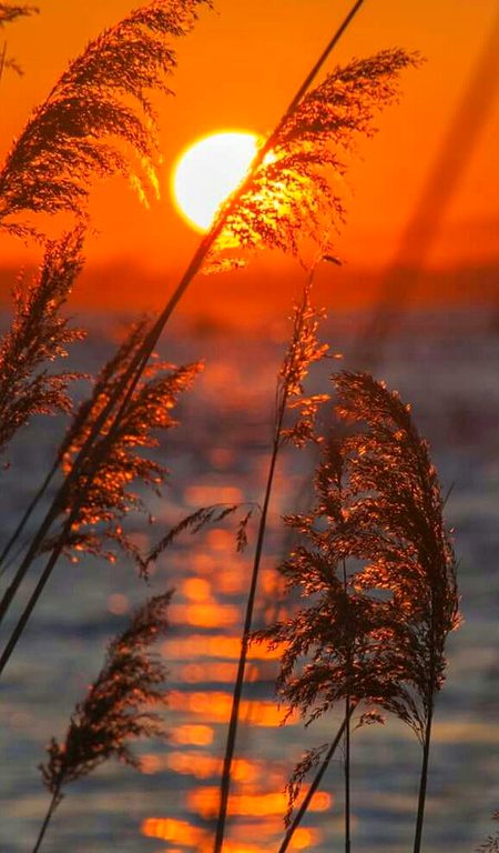 Beautiful Nature image