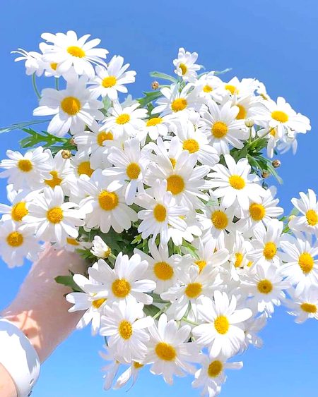 Beautiful Nature image