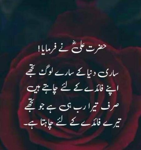 Islamic Quotes image