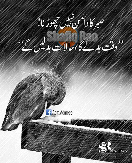 Motivational Quotes image