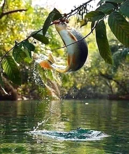 Beautiful Nature image