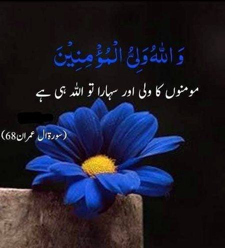 Islamic Quotes image