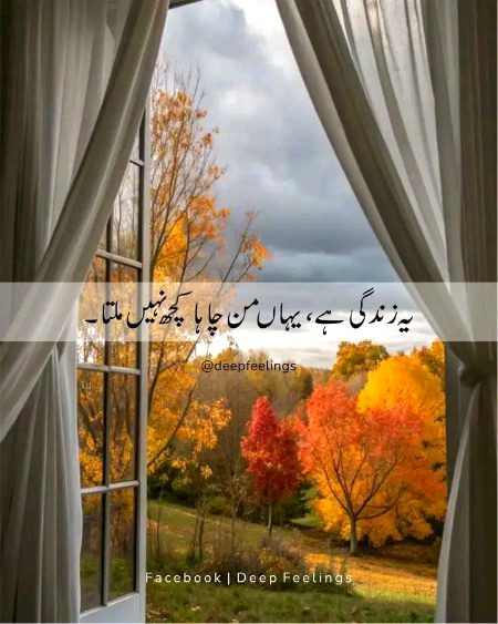 یہ زندگی ہے ، یہاں من چاہا کچھ نہیں ملتا....🙂🤎🥀
#everyoneシ゚