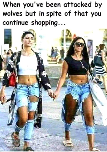 Memes & Satire image