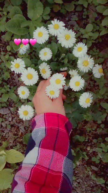 Beautiful Nature image