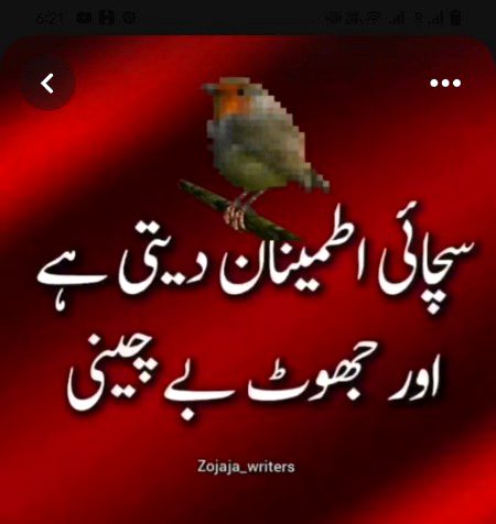 🌹 merijan-16 🌹