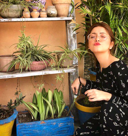 Pakistani Celebs image