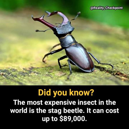 Interesting Posts image
