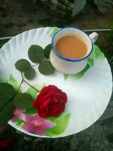 !!__ضرباں تے تقسیماں کر کے❤
!!___ساڈا کُل اثاثہ چاہ ہے ❤☕️