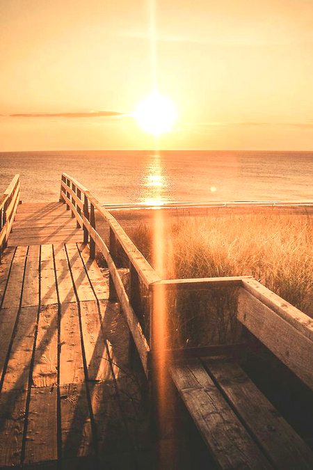 Beautiful Nature image