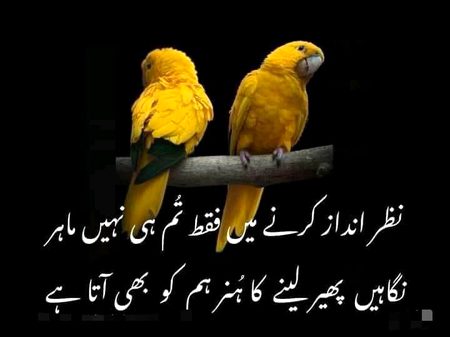 Attitude Poetry image