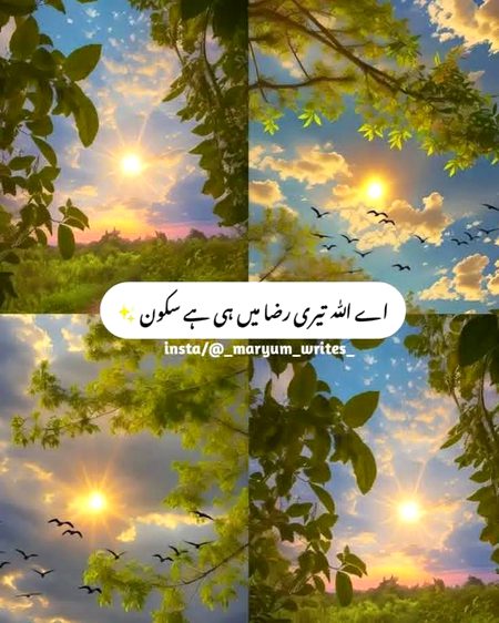 Motivational Quotes image