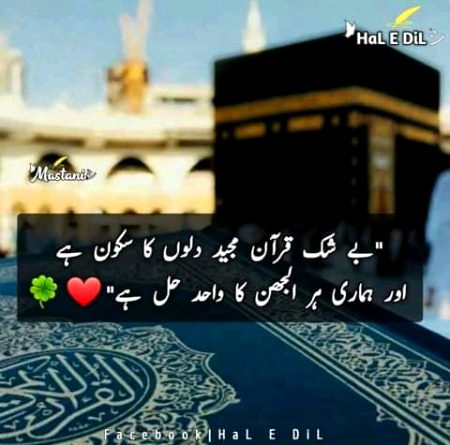 Islamic Quotes image