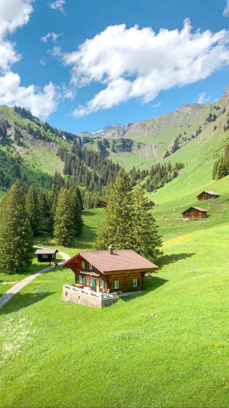 Beautiful Nature image