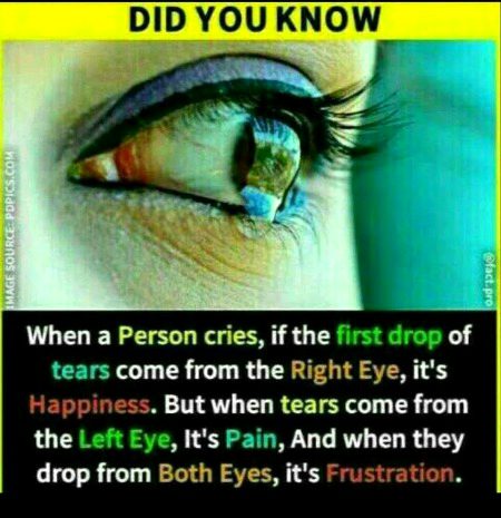 Interesting Posts image