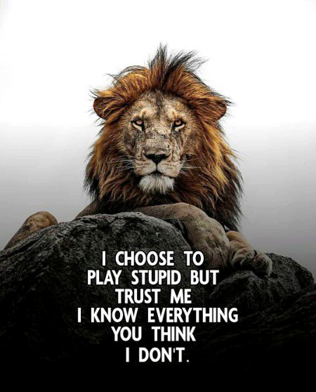 Attitude Quotes image