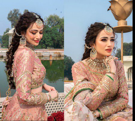 Pakistani Celebs image