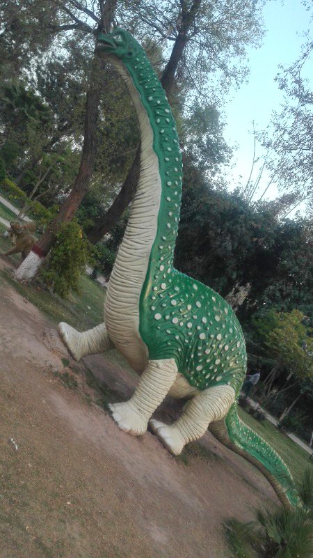 Me an park ge the✌✌✌✌