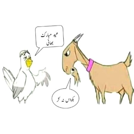 Memes & Satire image