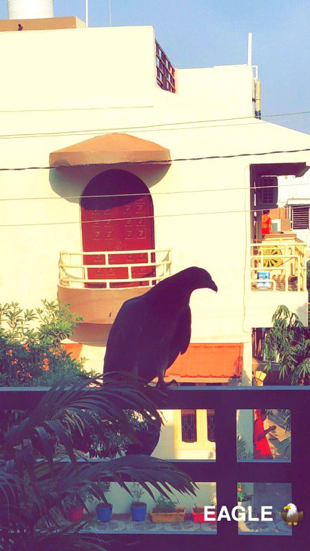 Beautiful Structures image