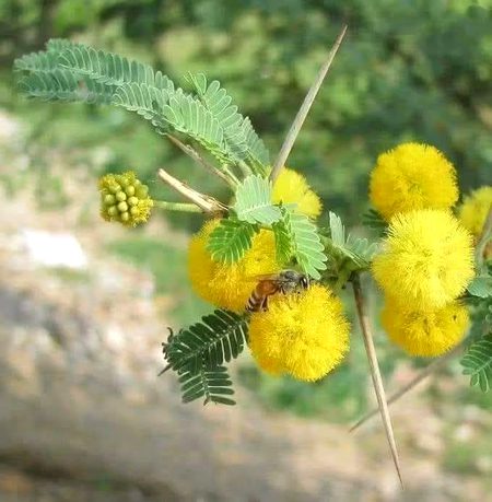 Beautiful Nature image