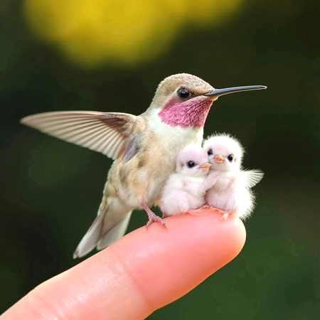 Beautiful Nature image