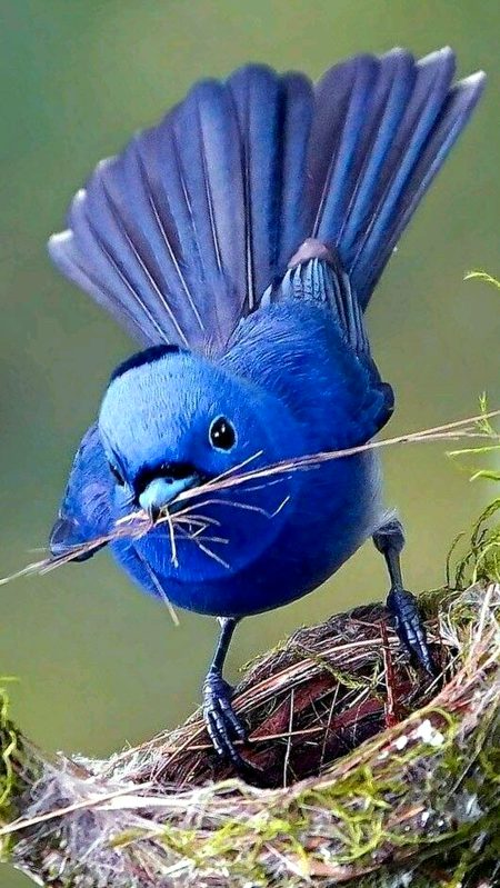 Beautiful Nature image