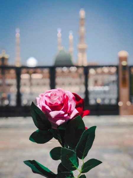 Beautiful Nature image